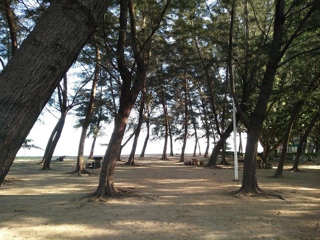 Tanjung Lipat Jogging Track